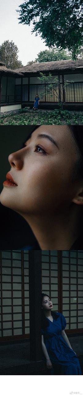 楚禾