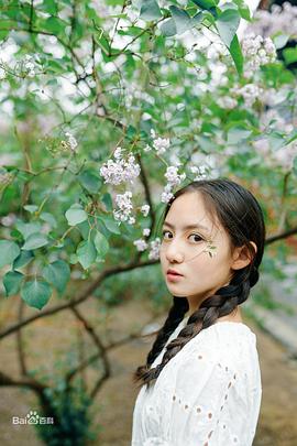 张格