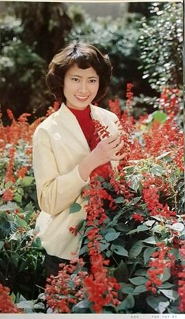 陈燕华