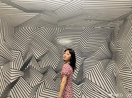 姜丹