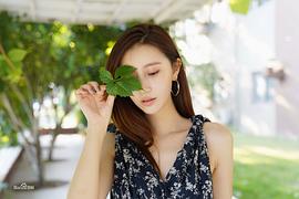 楚月