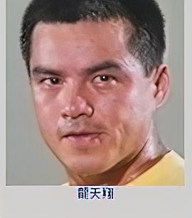 龙天翔
