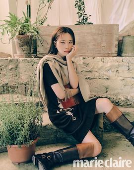 文彩元