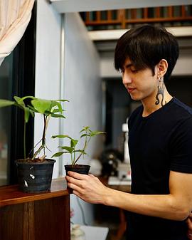 萨拉皮帕特·苏梅索