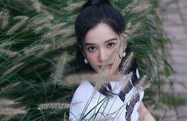 张婧仪