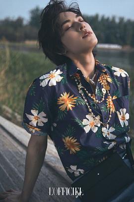 左叶