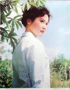 张力维