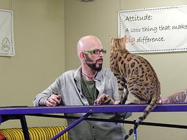 Jackson Galaxy