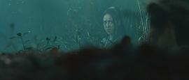 王俐丹