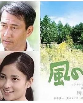 黑木美沙