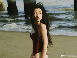 叶嘉雯