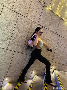 叶嘉雯