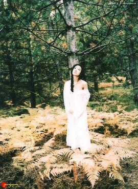 中村礼子