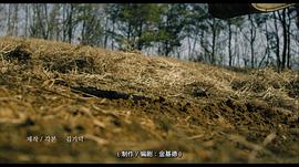 金基德