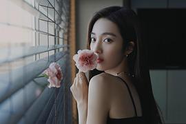 万鹏