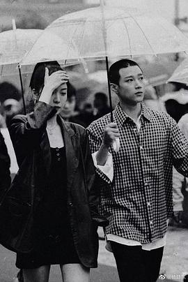 杨廷东