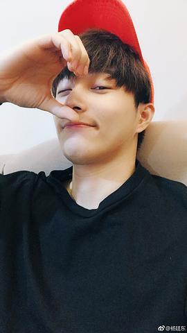 杨廷东