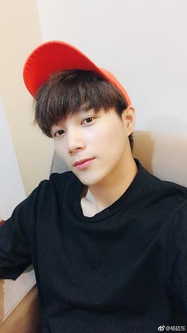 杨廷东