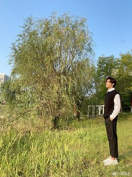 杨廷东