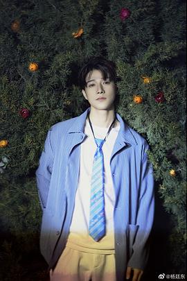 杨廷东