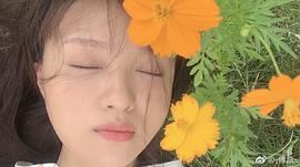 傅晶