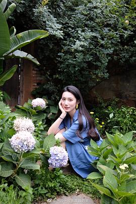 杨静航