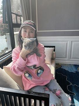 翁虹