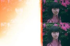 祷云母