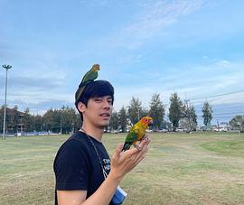 达维·格凌陂勒