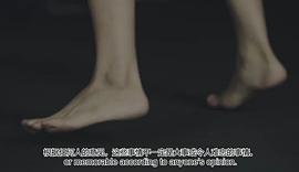 凯·乐希迪柴