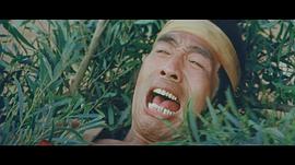 蔡弘