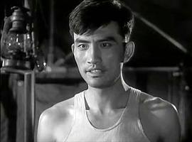 杨在葆