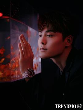 马天宇