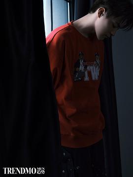 马天宇