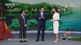 张静