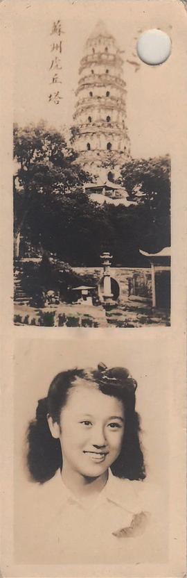 陈娟娟