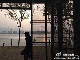陈展鹏