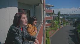 小岛藤子