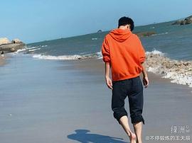 王天辰