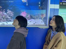 山口纱弥加