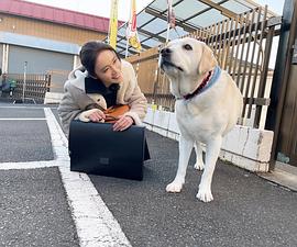 山口纱弥加