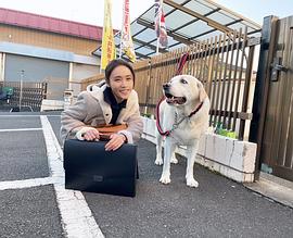 山口纱弥加