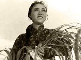 田华