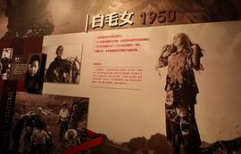 田华