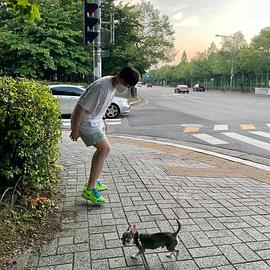 禹志贤