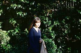 茅岛水树