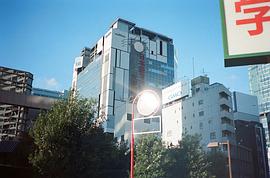茅岛水树