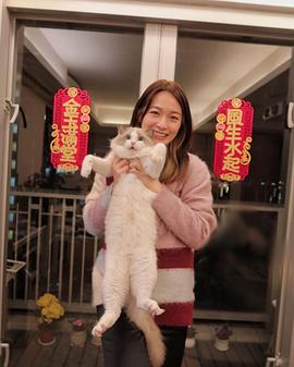 蔡洁