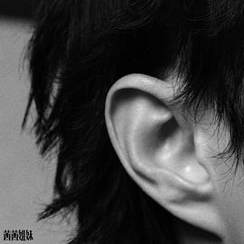赵磊