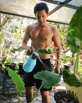 戴德·纳塔南·昆瓦特